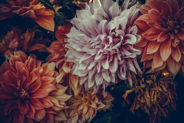 Como lidar com a adaptação em um novo bairro?